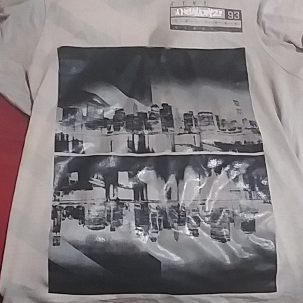 Zyny shirt